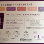 【頭皮ストレスチェック】
