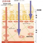 今年は焼けない！老けない！