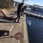 遊びに行って来ました＼(^o^)／