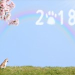2018年のご挨拶
